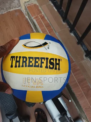 Three Fish Volleyball Original