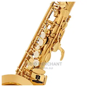 Alto Saxophone – Gold and Silver Available