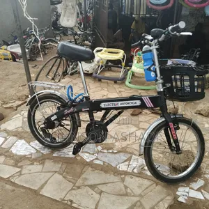 Phantom Mini Electric Bicycle