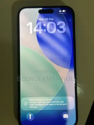 Apple iPhone 16 Pro Max 256 GB Gray