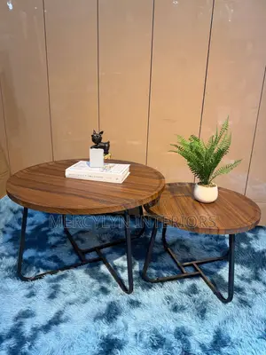 2 in 1 Nest Center Table