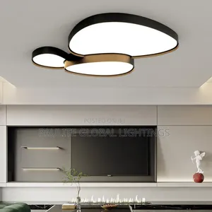 Modern Simplicity Led Ceiling Ight