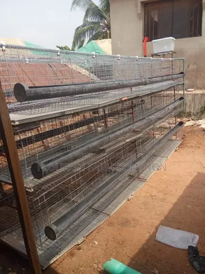 Ebuka Poultry Cage Installation