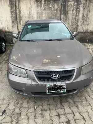 Hyundai Sonata 2007 Gray