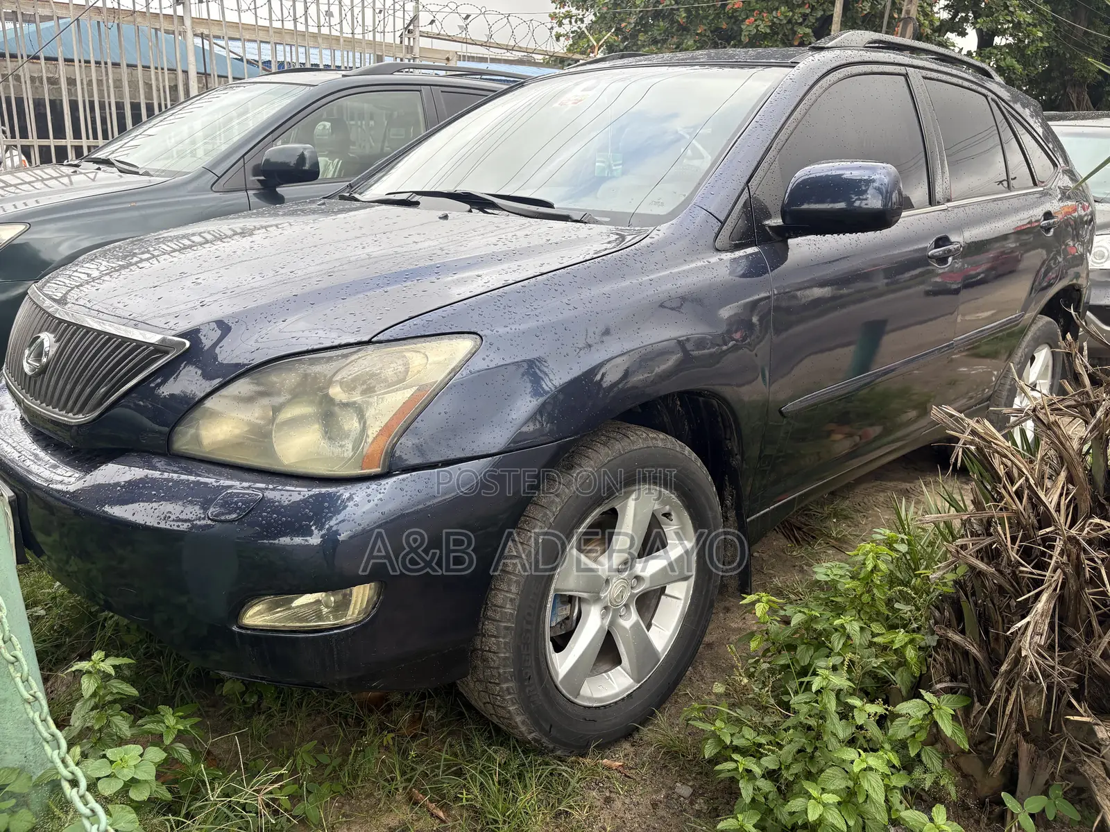 Lexus RX 2003 Blue