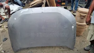 Toyota Rav4 2020 Bonnet