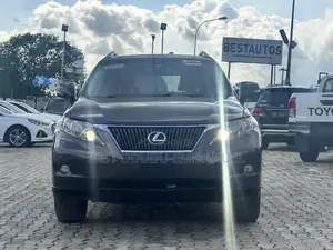 Lexus RX 2010 Beige