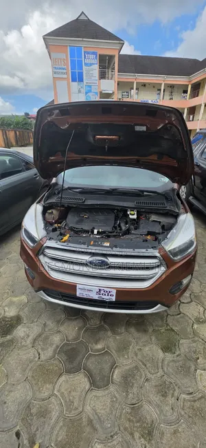 Ford Escape SE 4x4 2017 Burgundy