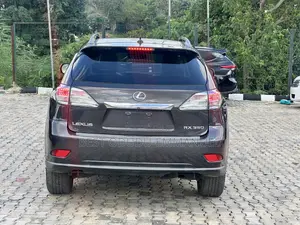 Lexus RX 2010 Beige