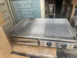 Electric Grill