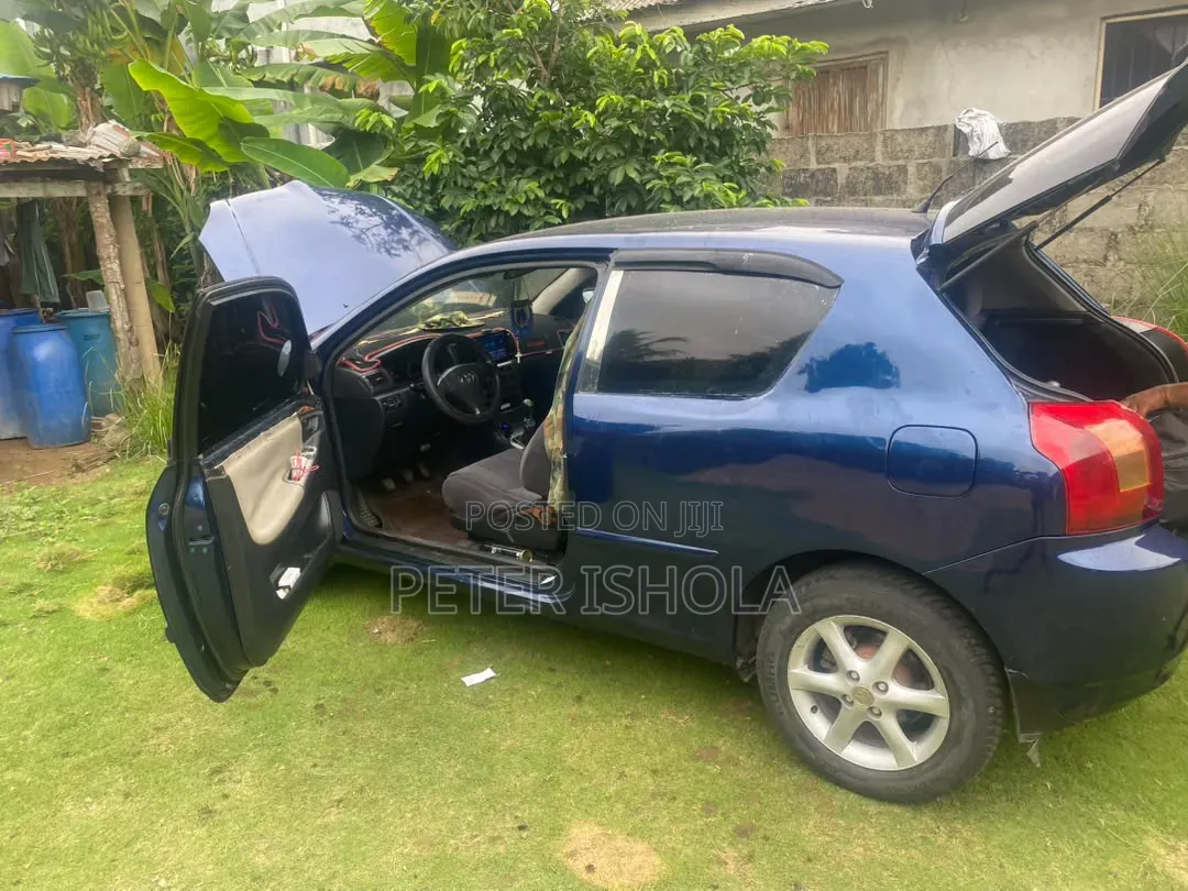 Toyota Corolla 2004 Blue