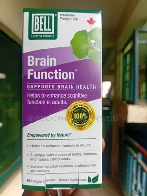 Brain Function