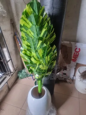 Outdoor and Indoor Flower and Vase Available