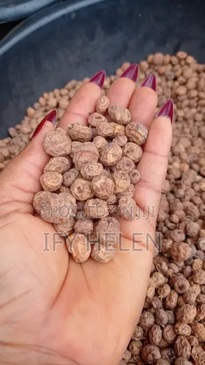 1 Painter Fresh Tigernuts