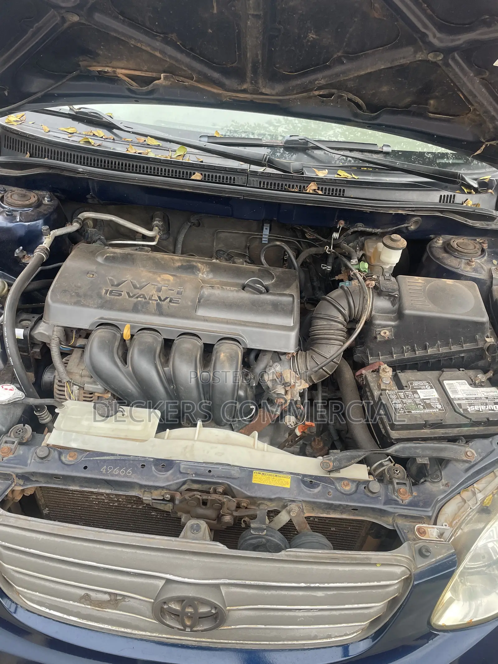 Toyota Corolla 2003 Blue