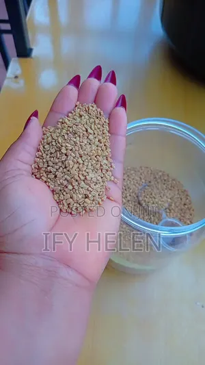 1 Kg Fenugreek Seeds