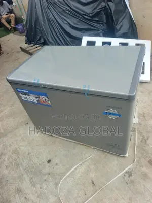 Skyrun BD-300HNW Large Capacity Deep Freezer