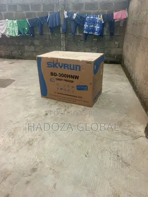 BD-300HNW Food Storage Skyrun Chest Freezer
