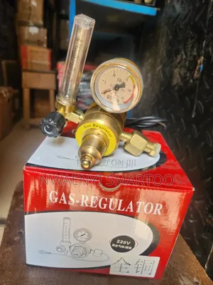 Gas Regulator 220v