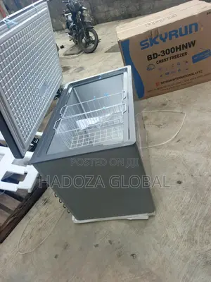 Skyrun BD-300HNW Chest Freezer for Shops