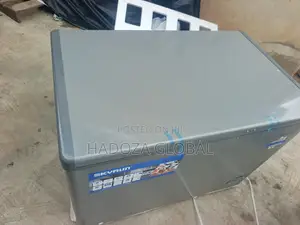Skyrun BD-300HNW Frozen Food Preservation Freezer