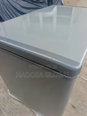 Skyrun BD-300HNW Large Deep Freezer for Groceries