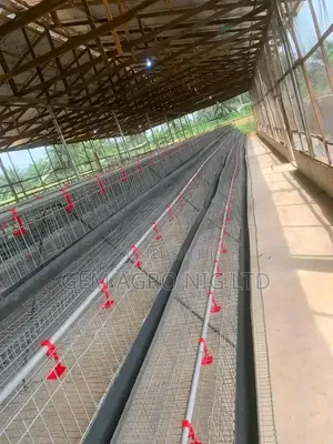 Layers Cage