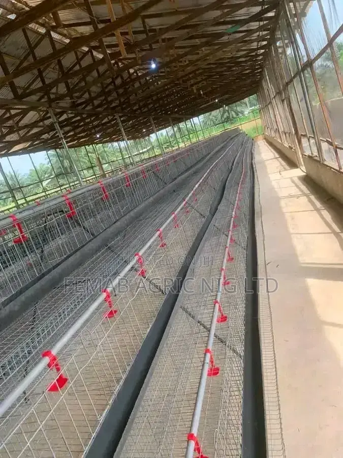 Layers Cage