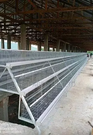 Layers Cage