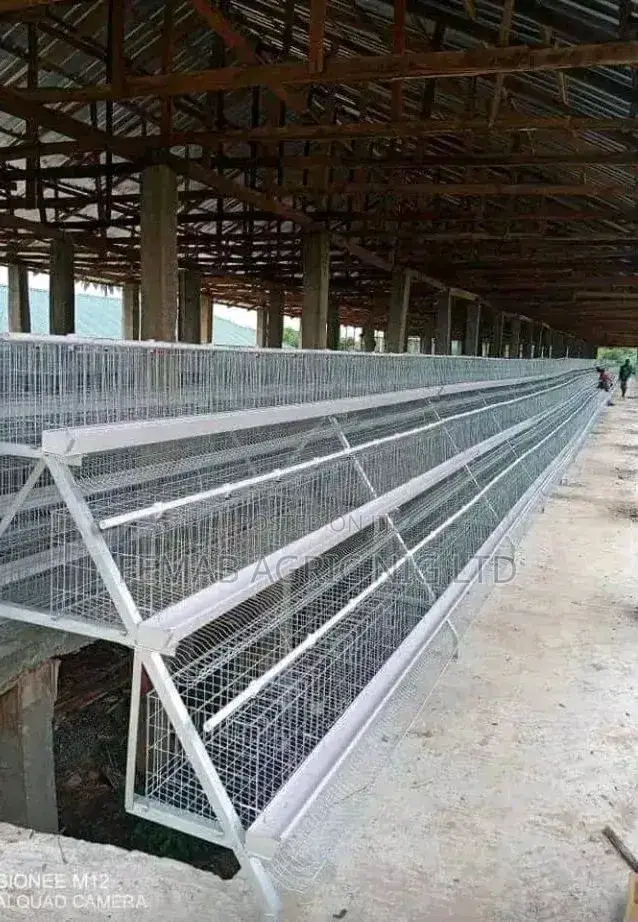 Layers Cage