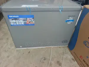 Skyrun BD-300HNW Extra-Space Freezer for Frozen Foods