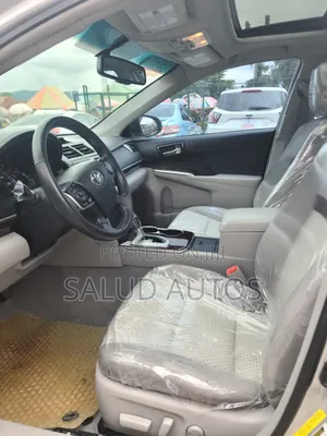 Toyota Camry XLE 4dr Sedan (2.5L 4cyl 6A) 2014 Silver