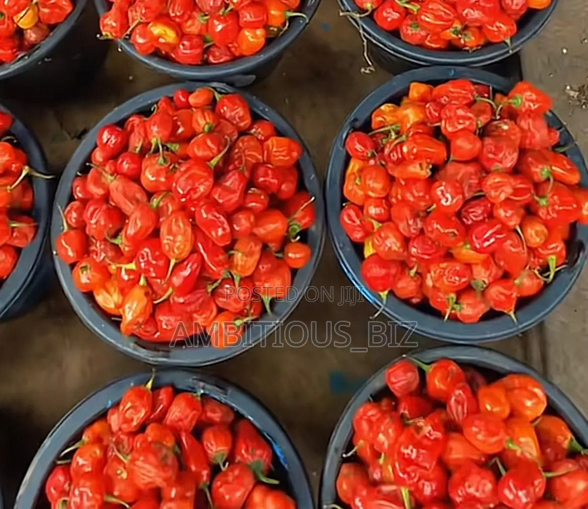 Fresh Hot Pepper