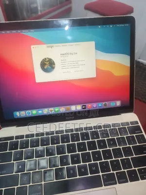 Laptop Apple 8GB SSD 256GB