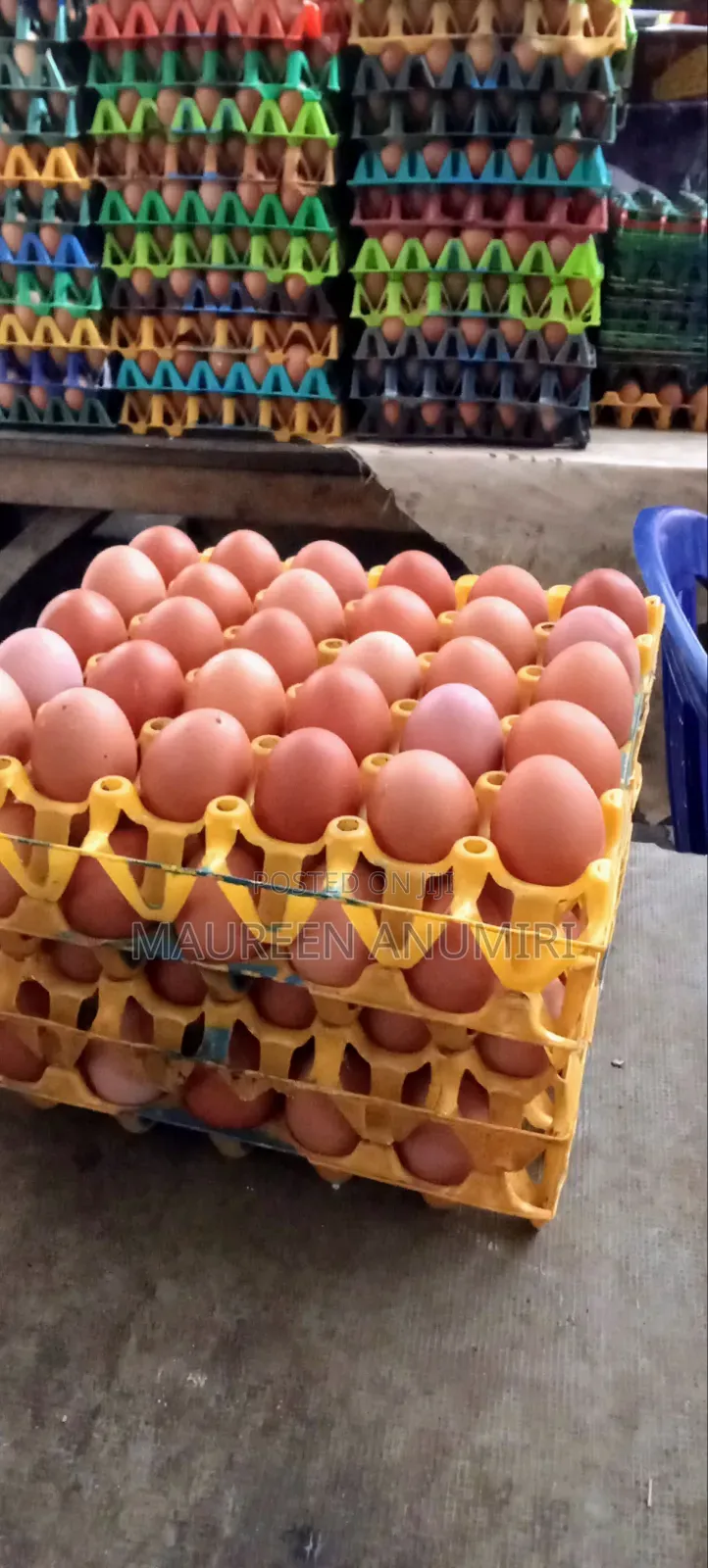 Raw Fresh Eggs