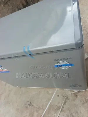 Skyrun BD-300HNW Large Freezer for Supermarkets Stores