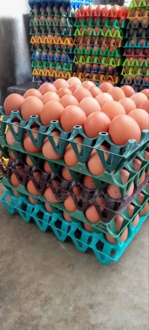 Raw Fresh Eggs