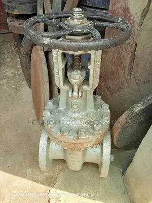 6x300psi Gate Valves