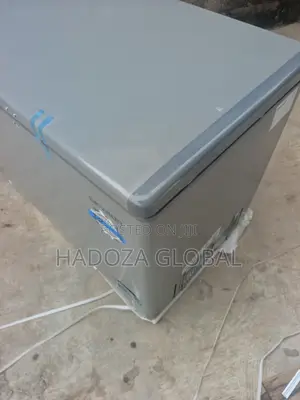 Skyrun BD-300HNW Deep Storage Freezer for Busy Households