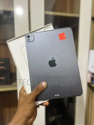 Apple iPad Pro 256 GB Gray