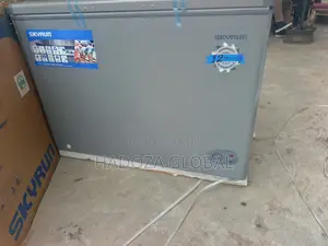 Skyrun BD-300HNW Premium Chest Freezer for Modern Homes