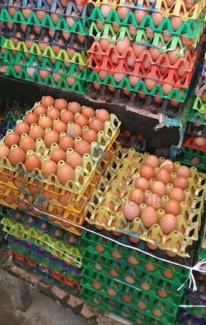 Raw Fresh Eggs