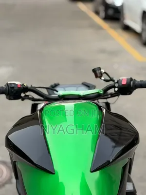 Kawasaki 2016 Green