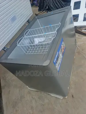 Skyrun BD-300HNW Large Storage Freezer for Frozen Products