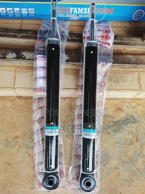 Original Back Shock Absorber for 2018-2022 Honda Civic Are Available