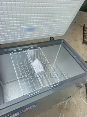 Skyrun BD-300HNW Dependable Deep Freezer for Commercial Storage