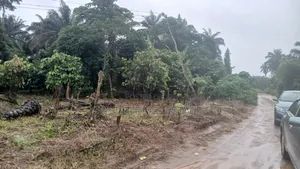 20,000 Acres of Land at Area 4 Garage Olode Ifetedo