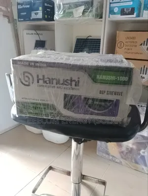 Hanushi 1kva 12v Inverter