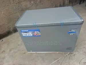 Skyrun BD-300HNW Roomy Chest Freezer