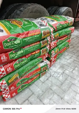 Purina Dog Chow 48lb